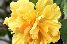 ���������Щע������