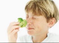 �⵼��ά����������������Ϣ�����ȫ����ʡ�ġ�������