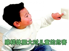 ��ϼ������С����ά�ʺ����ز�����