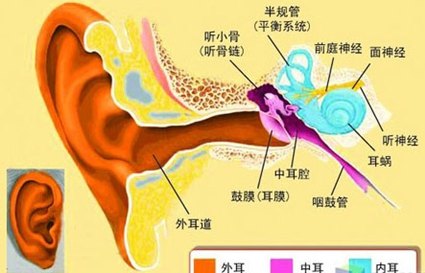 耳朵总流脓、听力下降 当心慢性化脓性中耳炎