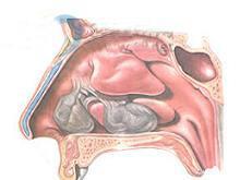 ���������,�����д���Ǻ�ҽԺ