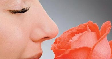 ҽ���������֢״������ϱǼ׷ʴ�