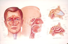 �д�ҽ��ȫ���������������ô����?