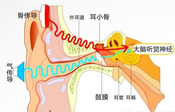 《名家访谈》特邀医生谈:耳朵里面疼是怎么回事?